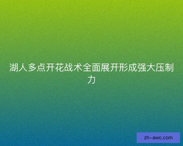 湖人多点开花战术全面展开形成强大压制力 湖人多点开花战术全面展开形成强大压制力