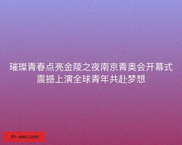 璀璨青春点亮金陵之夜南京青奥会开幕式震撼上演全球青年共赴梦想