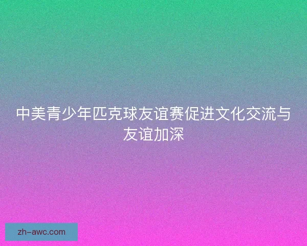 中美青少年匹克球友谊赛促进文化交流与友谊加深