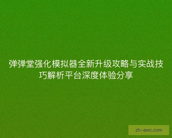 弹弹堂强化模拟器全新升级攻略与实战技巧解析平台深度体验分享